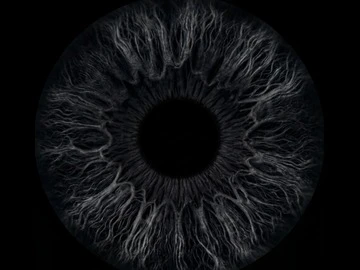 Iris photography booth rental NYC — macro portrait of a deep black iris