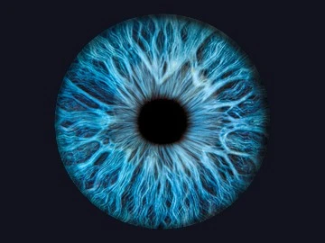 Iris photography booth rental NYC — macro portrait of a blue iris