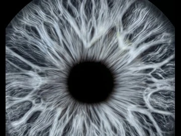 Macro close-up of a cool gray iris with detailed fiber texture