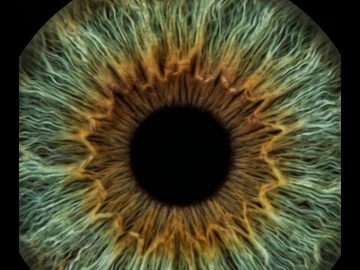 Macro close-up of a hazel iris blending green and amber rings